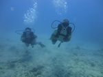 Hawaii Scuba divng 23