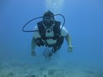 Hawaii Scuba divng 24