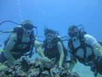 Hawaii Scuba divng 25