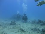 Hawaii Scuba divng 26