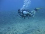 Hawaii Scuba divng 27