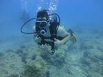 Hawaii Scuba divng 40