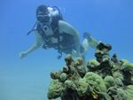 Hawaii Scuba divng 42