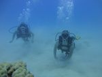 Hawaii Scuba divng 43