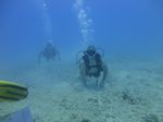 Hawaii Scuba divng 44