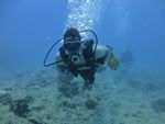 Hawaii Scuba divng 45