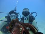 Hawaii Scuba divng 46