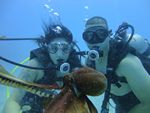 Hawaii Scuba divng 47