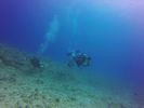 Hawaii Scuba divng 10