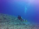 Hawaii Scuba divng 12