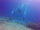 Hawaii Scuba divng 16