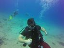 Hawaii Scuba divng 21