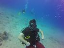 Hawaii Scuba divng 22