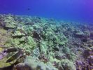 Hawaii Scuba divng 23