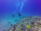 Hawaii Scuba divng 24