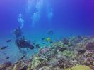 Hawaii Scuba divng 26