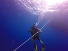Hawaii Scuba divng 02