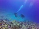 Hawaii Scuba divng 32