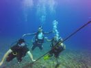 Hawaii Scuba divng 35