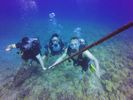 Hawaii Scuba divng 37