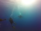 Hawaii Scuba divng 40