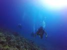 Hawaii Scuba divng 43