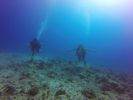 Hawaii Scuba divng 45