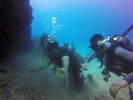 Hawaii Scuba divng 62