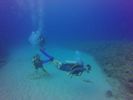 Hawaii Scuba divng 69