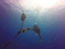 Hawaii Scuba divng 06