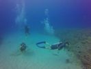 Hawaii Scuba divng 70