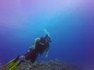 Hawaii Scuba divng 73