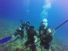 Hawaii Scuba divng 79