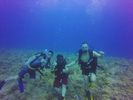 Hawaii Scuba divng 07