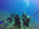 Hawaii Scuba divng 80