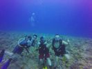 Hawaii Scuba divng 08