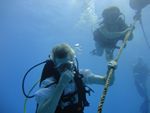 Hawaii Scuba divng 15