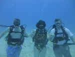 Hawaii Scuba divng 16