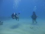 Hawaii Scuba divng 17