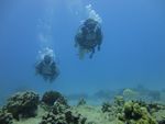 Hawaii Scuba divng 18