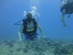 Hawaii Scuba divng 19