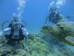 Hawaii Scuba divng 23