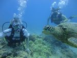 Hawaii Scuba divng 23