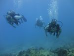 Hawaii Scuba divng 35