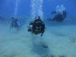 Hawaii Scuba divng 44