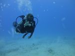 Hawaii Scuba divng 45