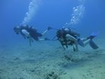 Hawaii Scuba divng 46