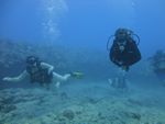 Hawaii Scuba divng 51