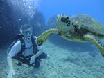 Hawaii Scuba divng 54