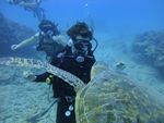 Hawaii Scuba divng 56